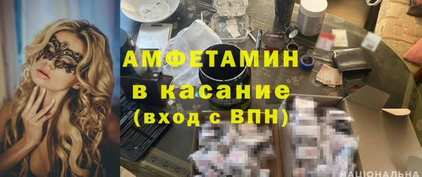 прущие грибы Кулебаки