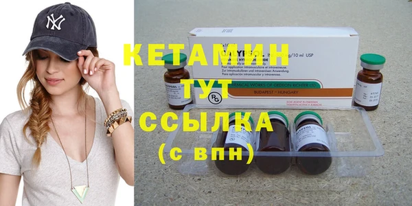 гидра Кодинск