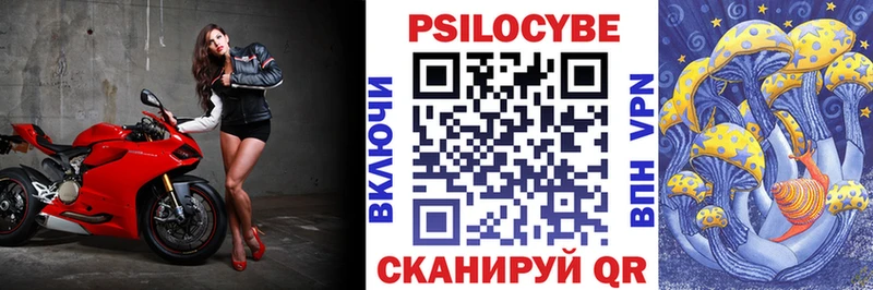 где купить наркотик  Грязовец  Псилоцибиновые грибы Cubensis 